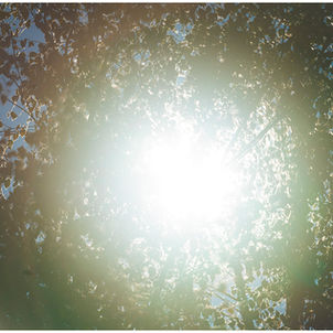 The Unbelievable Lightness of Being