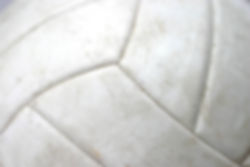 istockphoto-184093050-612x612.jpg