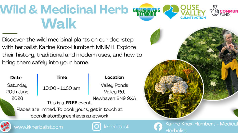 Medicinal Herb Walk