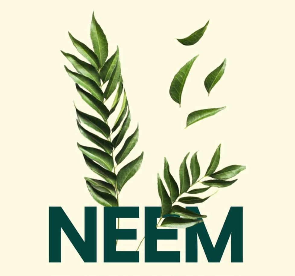 Neem leaves