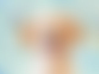 Animated dog grooming