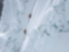 DJI_0303 (1).jpg