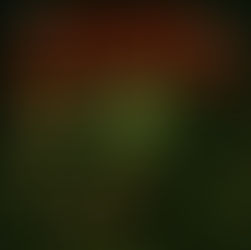 The Scary Salad Eater #8- Dec 2025