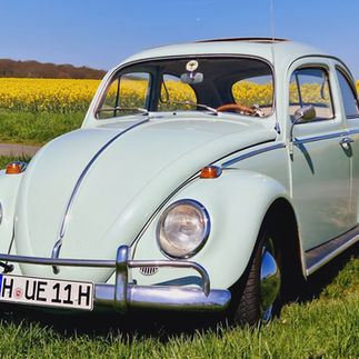 Hellblauer VW Käfer vor Rapsfeld