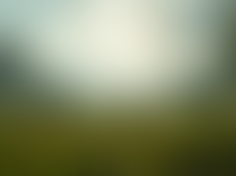 Explore Riddle’s Unique ARK: Survival Ascended Server Rates