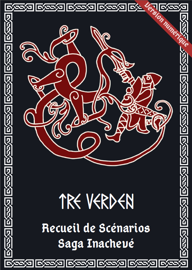 Livre Saga Inachevé Version numérique