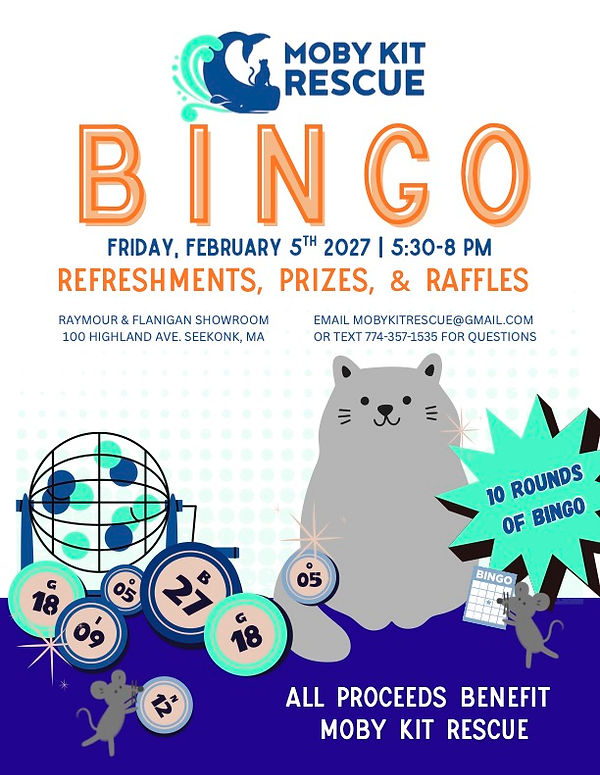 Bingo 2027 General Flyer (1).jpg