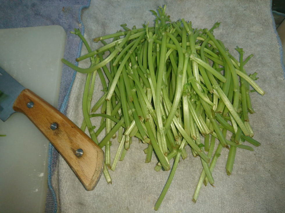 Miniatura: Pesto casero