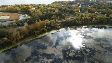 A wooded shoreline picture for the top banner of the website page.