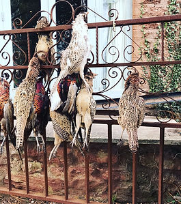 Bringing game meat from field to fork, we aim to give game a name again.

Most of our game is sadly exported to Asia and China. Why on earth are we not cooking and eating these seasonal wonders. A lean meat, healthy, has lived a good life in the great outdoors, we are fools to not eat more pheasant, partridge, pigeon, rabbit, venison, wild duck or grouse.

When beautiful posts from the Exmoor Game Co. started appearing on Instagram, we wanted to collaborate. Jack is based in Wellington and brings sustainable game meat to the table. This course is designed to show you the wonders of what nature gifts us, that hasn’t been grow in a shed, pumped full of steroids, overfed grain, fattened up on processed foods in time periods that are unreal in nature.

We will start by talking about Somerset and the wonderful game that we have running around the hills and moors. The history of game and shooting. The seasons, the sustainability and the health benefits of these wonderfully lean feathered and four-legged friends.

You will find out the exact origin or the hill that the game we are working with has grazed on for its entire life. You will learn how to pluck a pheasant and not just cut out the breasts which is so wasteful. We will debone a gamebird and we will roast the bones and make stock. With the stock we will make a spiced pumpkin and pheasant stock velouté. This is great little shoot snack with homemade scotch eggs and tomato chilli jam. We will talk about the best ways to cook lean meat, like the poaching method. Slow cooking things like rabbit and venison and if you are lucky Jack might make an appearance to talk about his passion for game and keeping it in the UK.

We will make a raised game pie with a hot water crust. This is a delicious show-stopping centrepiece to wow even the best cooks at your table. We will braise pheasants with endives. You will learn how to season string meat like venison by making Chinese style venison burgers with juniper, star anise and herbs. We will bake some home-made brioche buns and make a homemade seasonal slaw. If we manage to get our hands on some rabbit we will make a ragu, slow cooked in the Rayburn or Esse ELX 990. We can make some fresh pasta to go with this or we can stuff some empanadas (mini Argentine pasties). Depending on what game we can get hold of for this specialist course, means that we will tailor each course to the meat that comes in fresh off the shoot. If you shoot your own game, you can bring that along too.

Lunch included
Price: £200 per person
Course limited to 4 people
Group Offers available
Enquire with Miranda on 07899665635. Dates must be agreed and booked in advance.