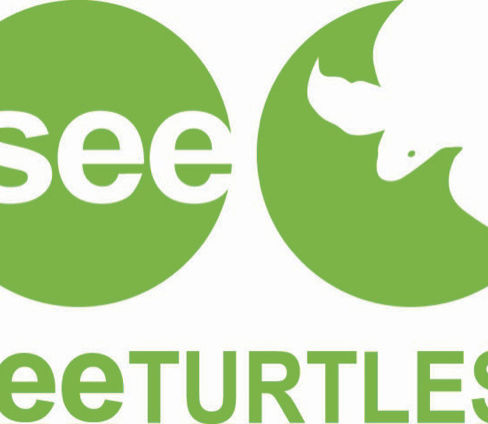 SEEturtlesLogo.jpeg