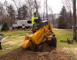 Excavator moving logs in forest