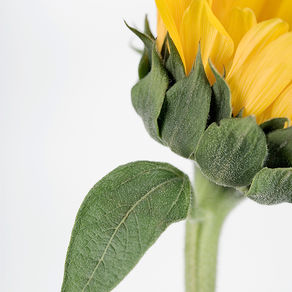 Meet the Music Therapist: Julie Martin