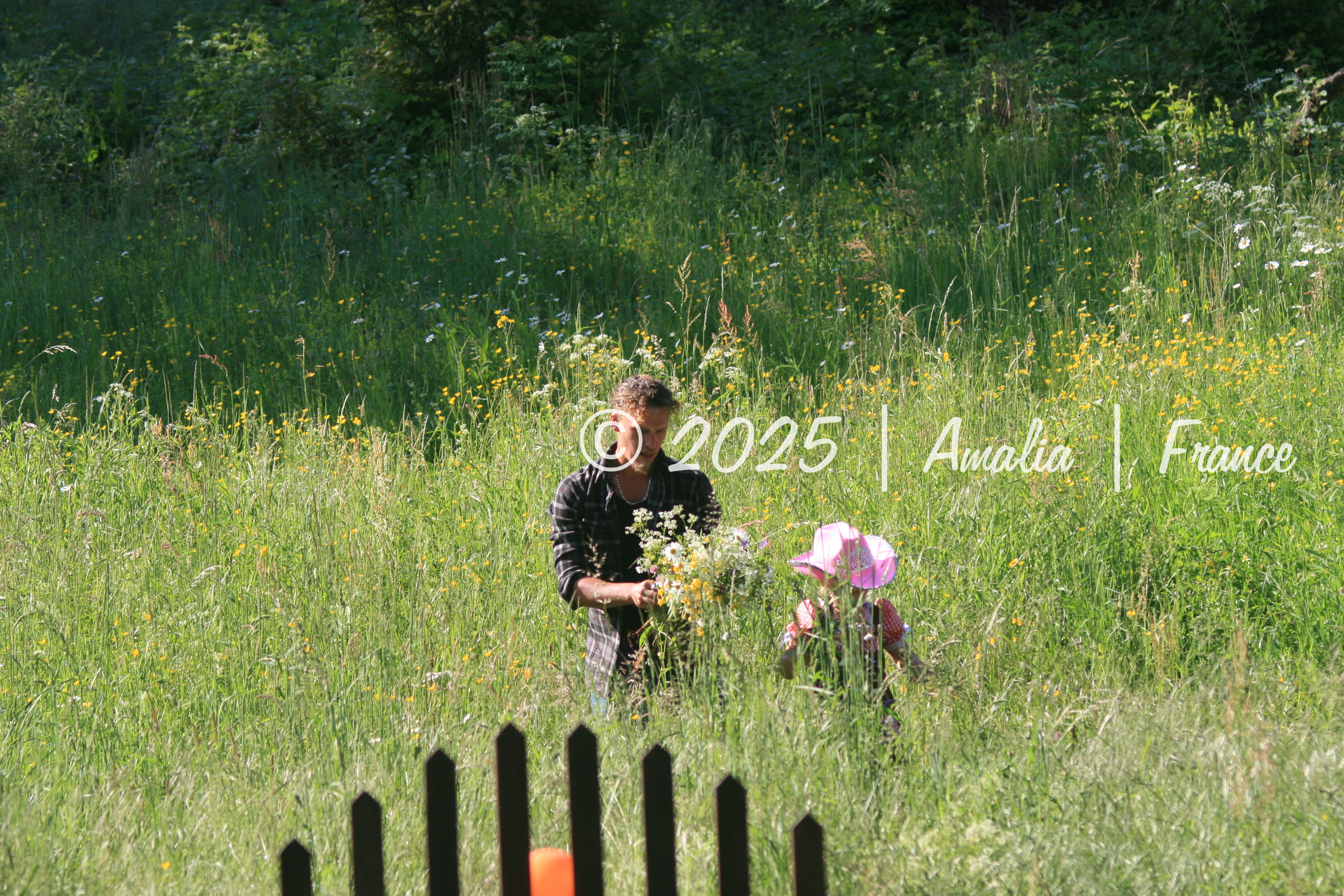 Cueillette champêtre -   Man and little girl picking in the countryside