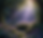 piclumen-1766587287457.png
