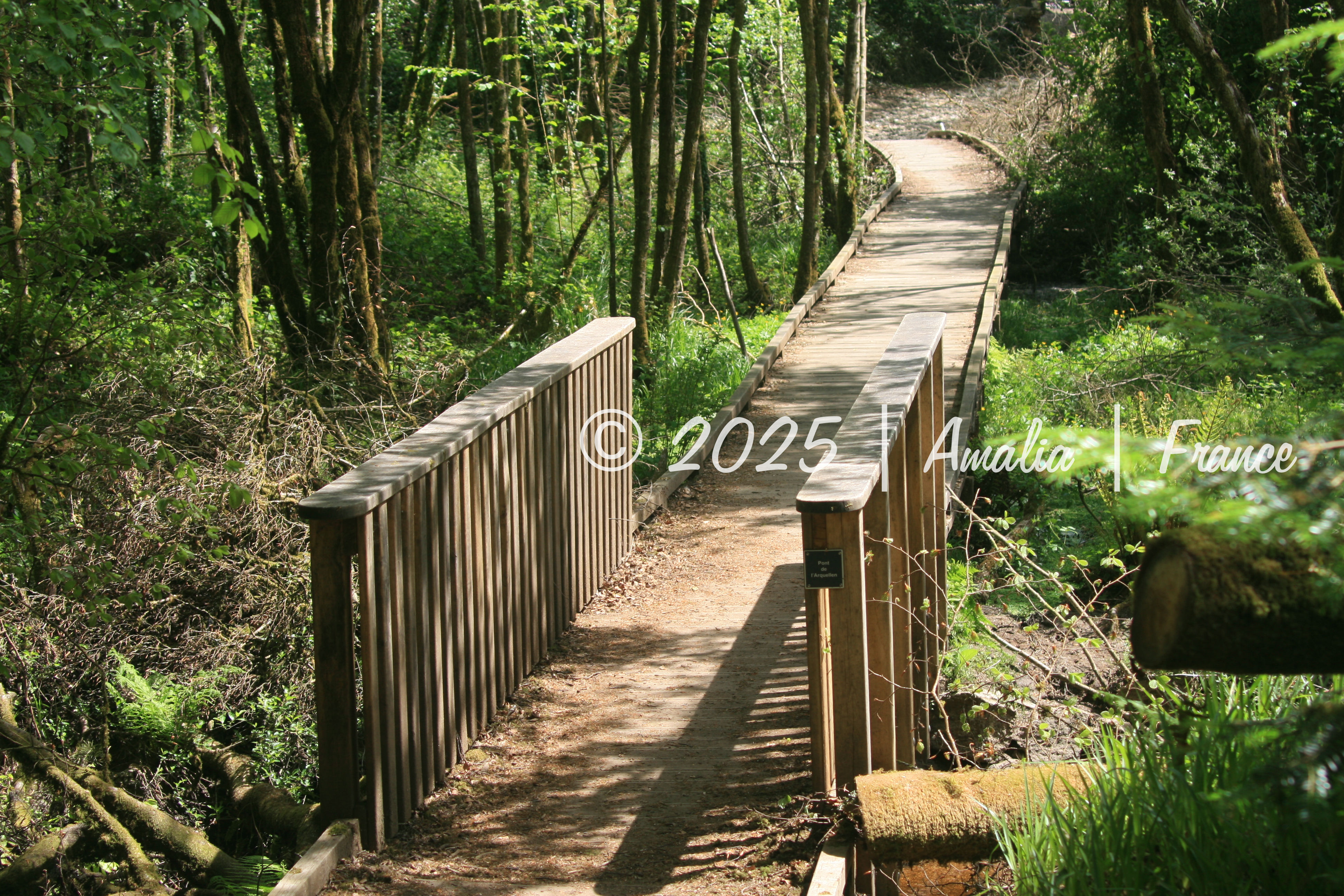 Pont en bois au dessus d 'une rivière - Wooden bridge over a river