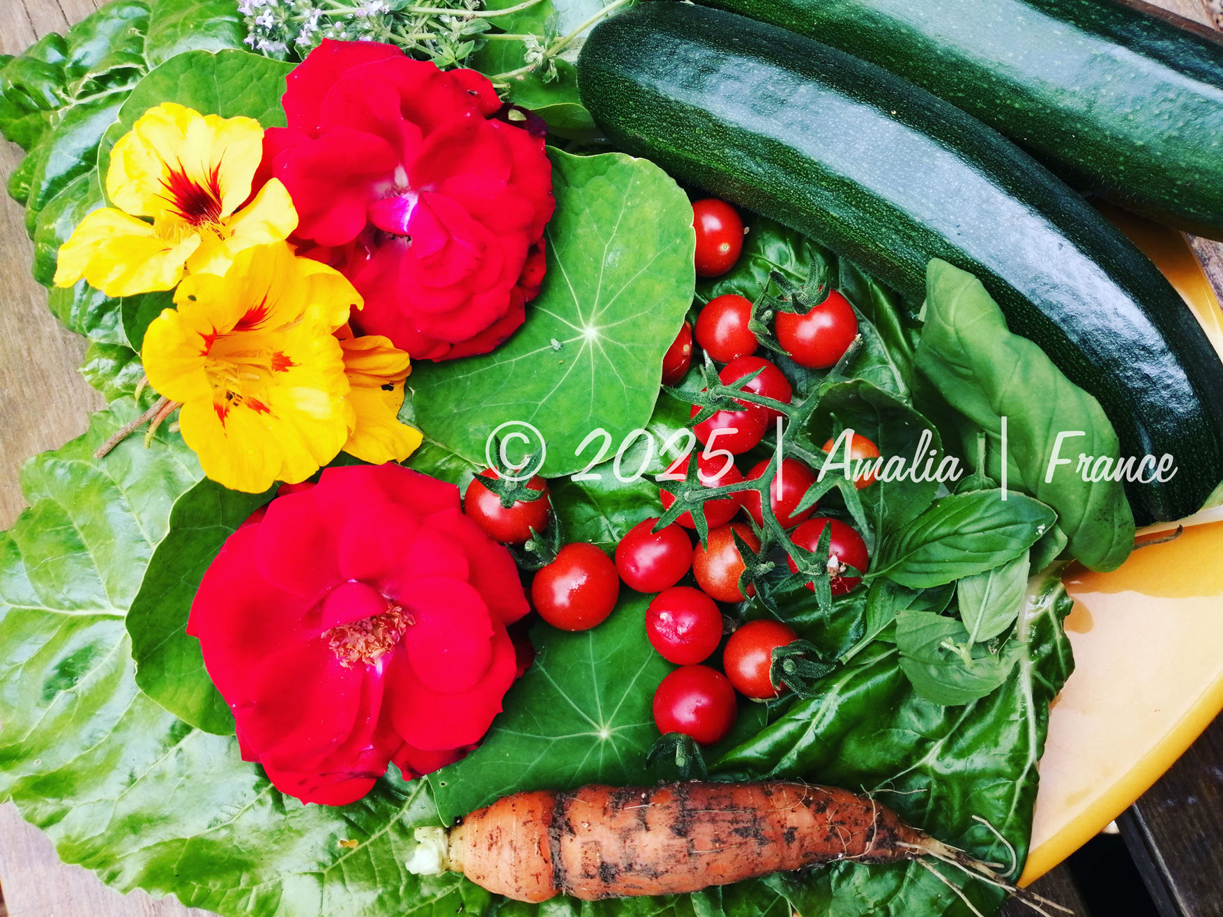 Fruits, légumes et fleurs sauvages - fruits, vegetables and wild flowers