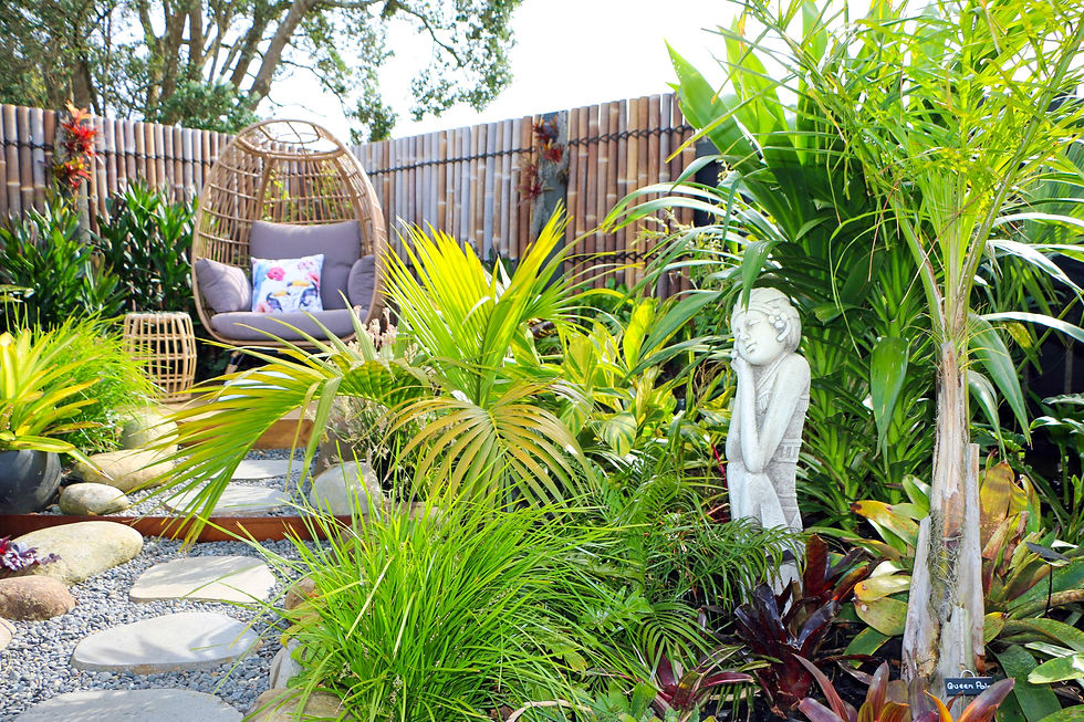 Tropics on Mangati