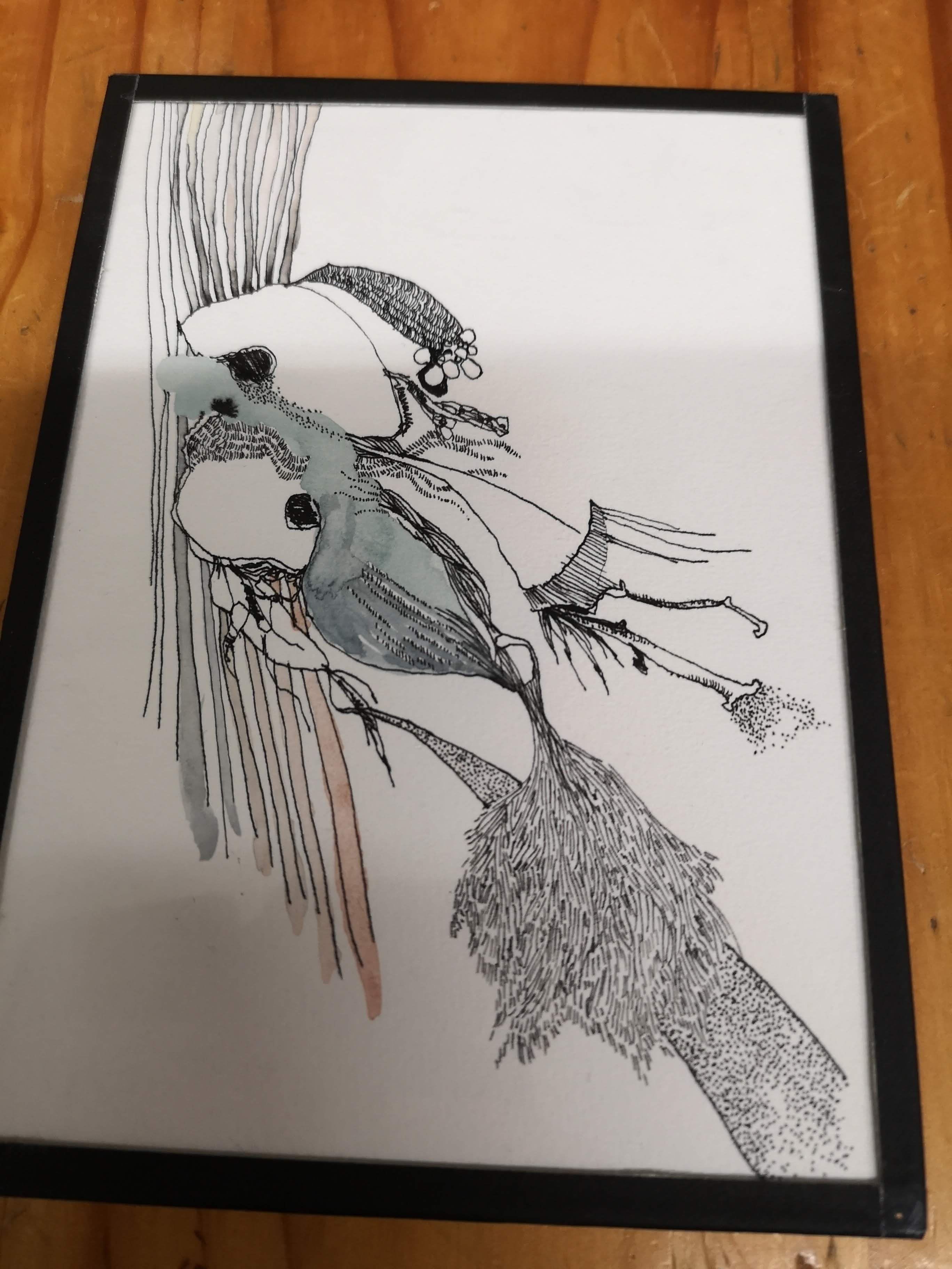 Illustration par Sidonie Rocher