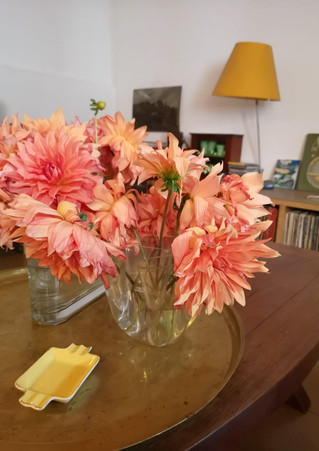 Leur maison retro / Their retro-style home