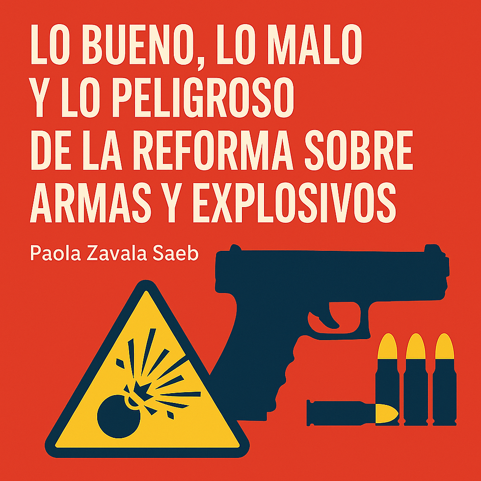 Lo bueno, lo malo y lo peligroso de la reforma sobre armas y explosivos.