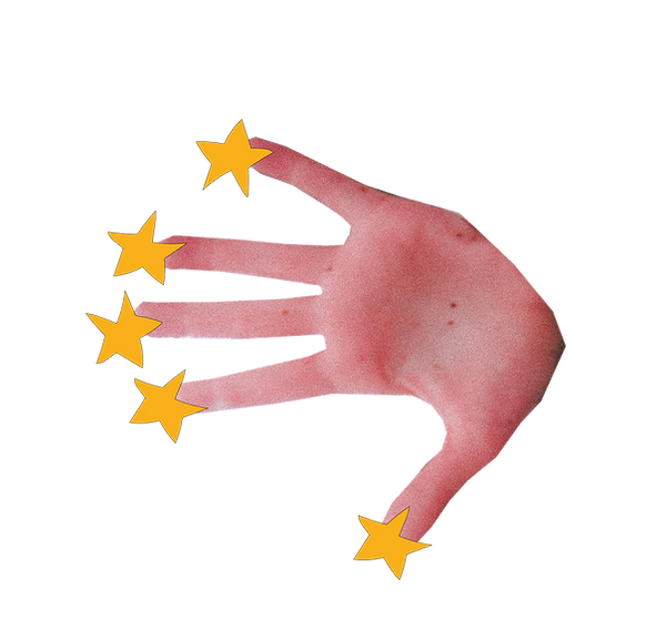 Group 316.png