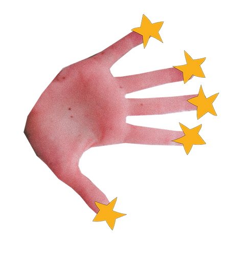 Frame (9).png