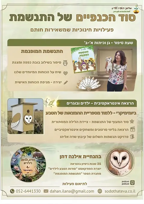 פרוספקט.webp