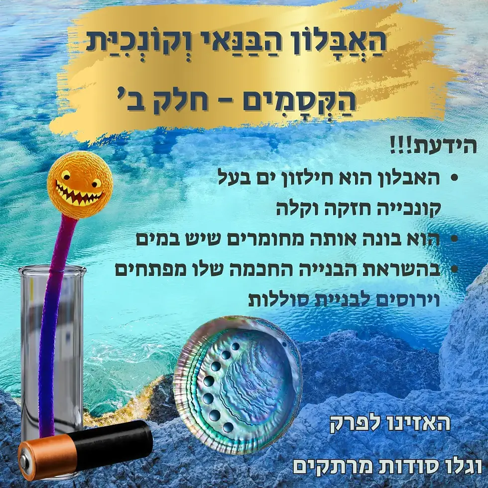 האבלון הבנאי חלק ב 