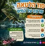 הבסיליסק חדש.webp