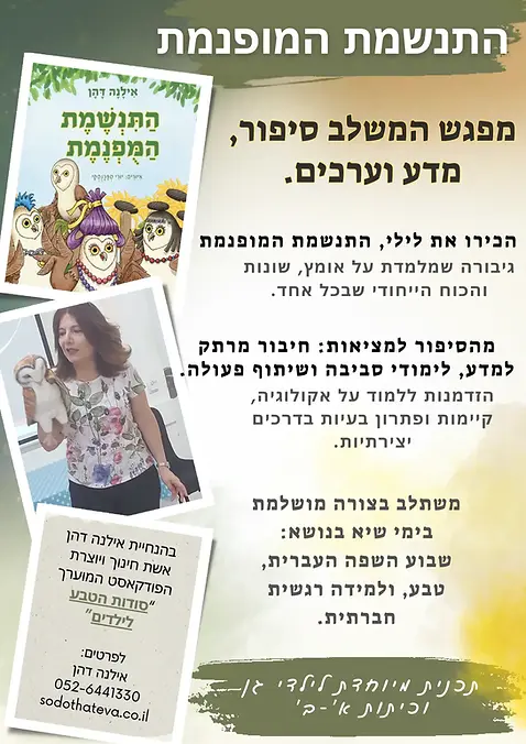 פלייר 7.webp