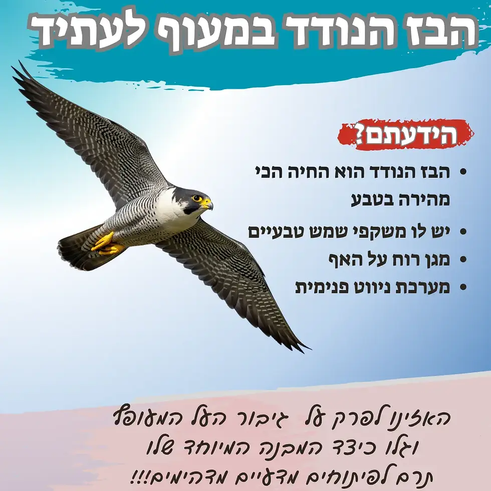 הבז הנודד במעוף לעתיד