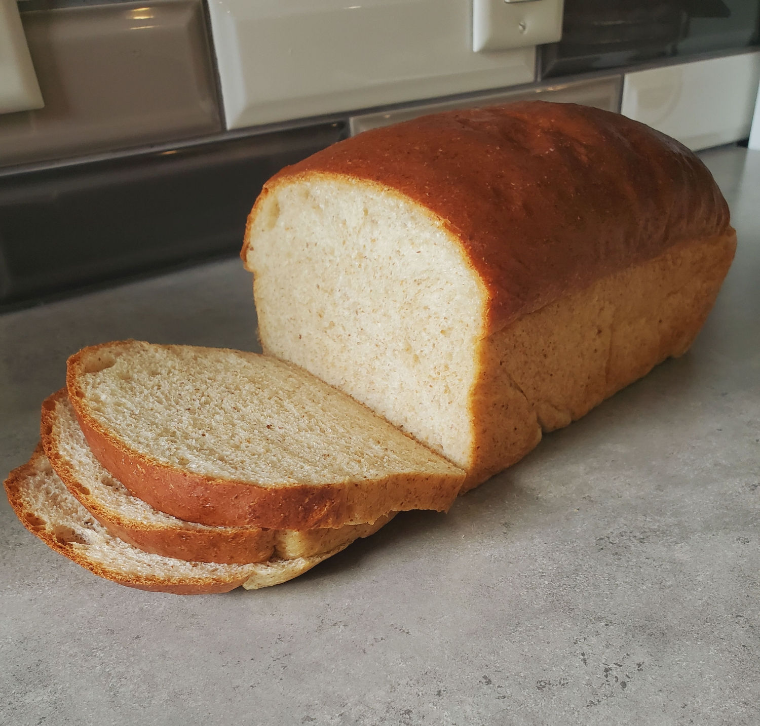 Whole Wheat Bread