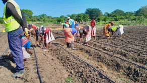 Improvement of Vulnerability in Magude – Phase II 2024