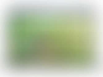 Seneca Hills announces a new brand and website!