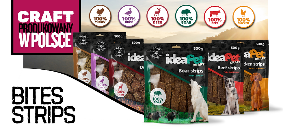 CRAFT produced in Poland