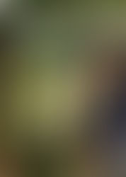 Sequins And A Black Tee