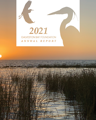 Galveston-Bay-Foundation-2021-Annual-Report-1.png