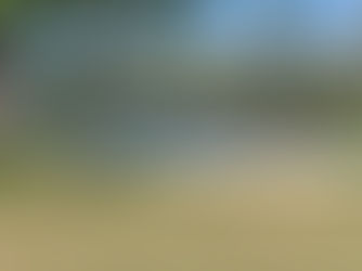 LACOSTE CELEBRATES LONG-STANDING RELATIONSHIP WITH THE EVERGLADES FOUNDATION AND TEASES NEW COLLABO