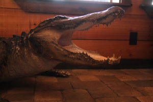 stuffed crocodile