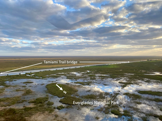 Tamiami Trail Bridges Already Showing That Everglades Restoration Works