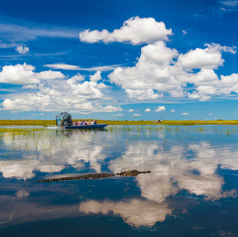 5 Myths About The Everglades