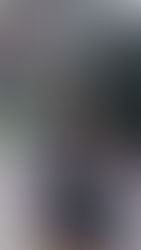 White House Black Market Summer Buys