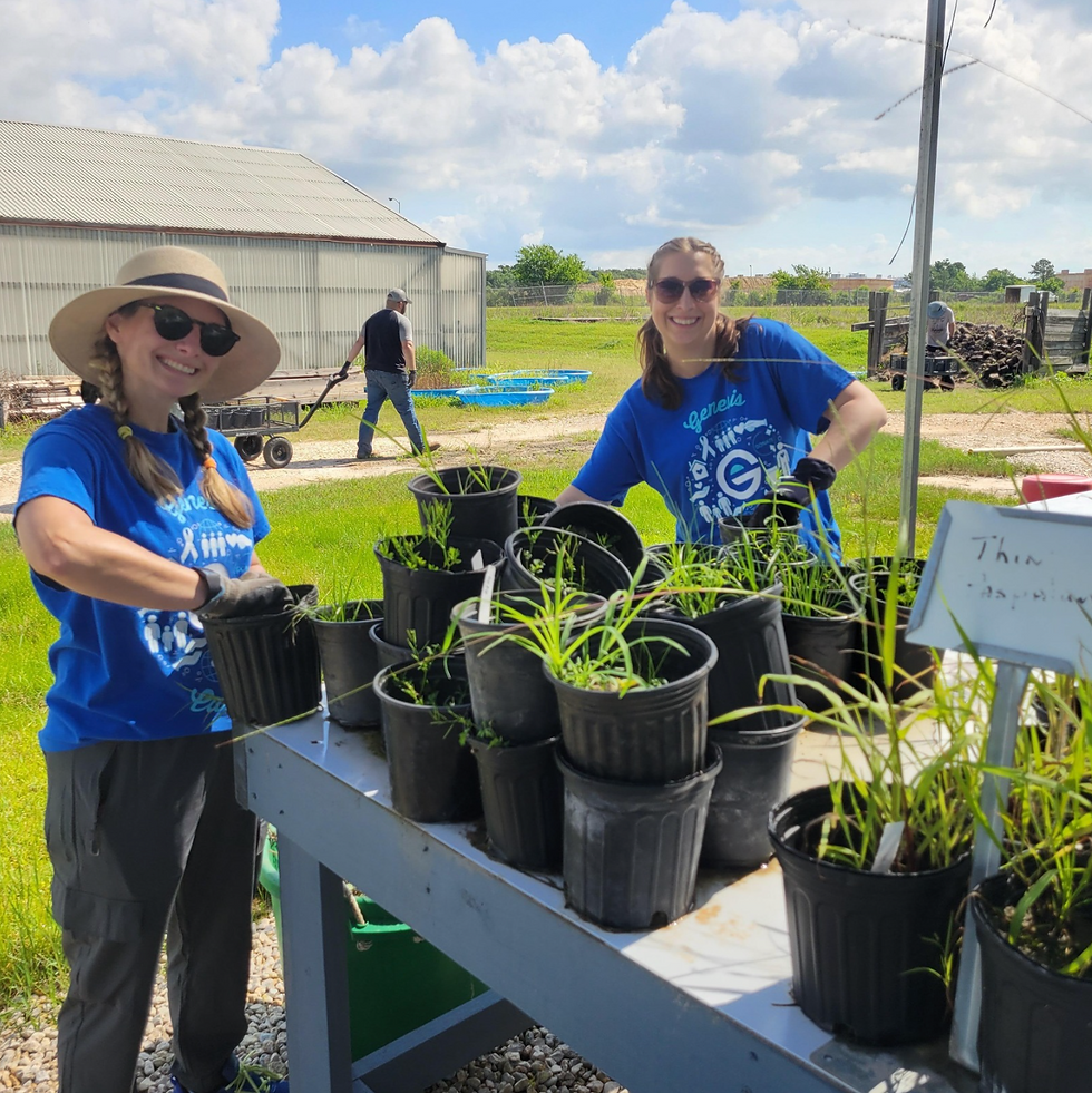 2026 EcoCenter Weekly Nursery Workdays