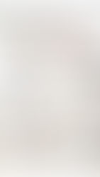 Recent Amazon Home Favorites