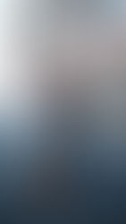 Authentic Designer Steals on eBay