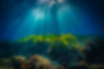 AdobeStock_180322800.jpg