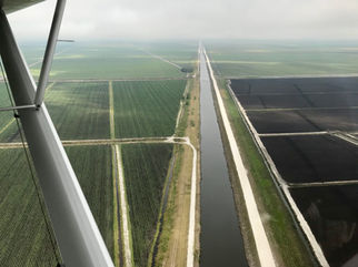 Sugar Subsidies and Sugarcane in the Everglades Agricultural Area