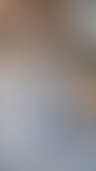 Casual Fall Look from Express