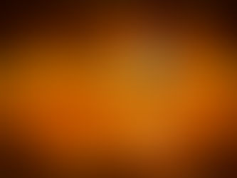 Bird's Eye View Of The Everglades – 7 of Our Favorite Everglades Wading Birds